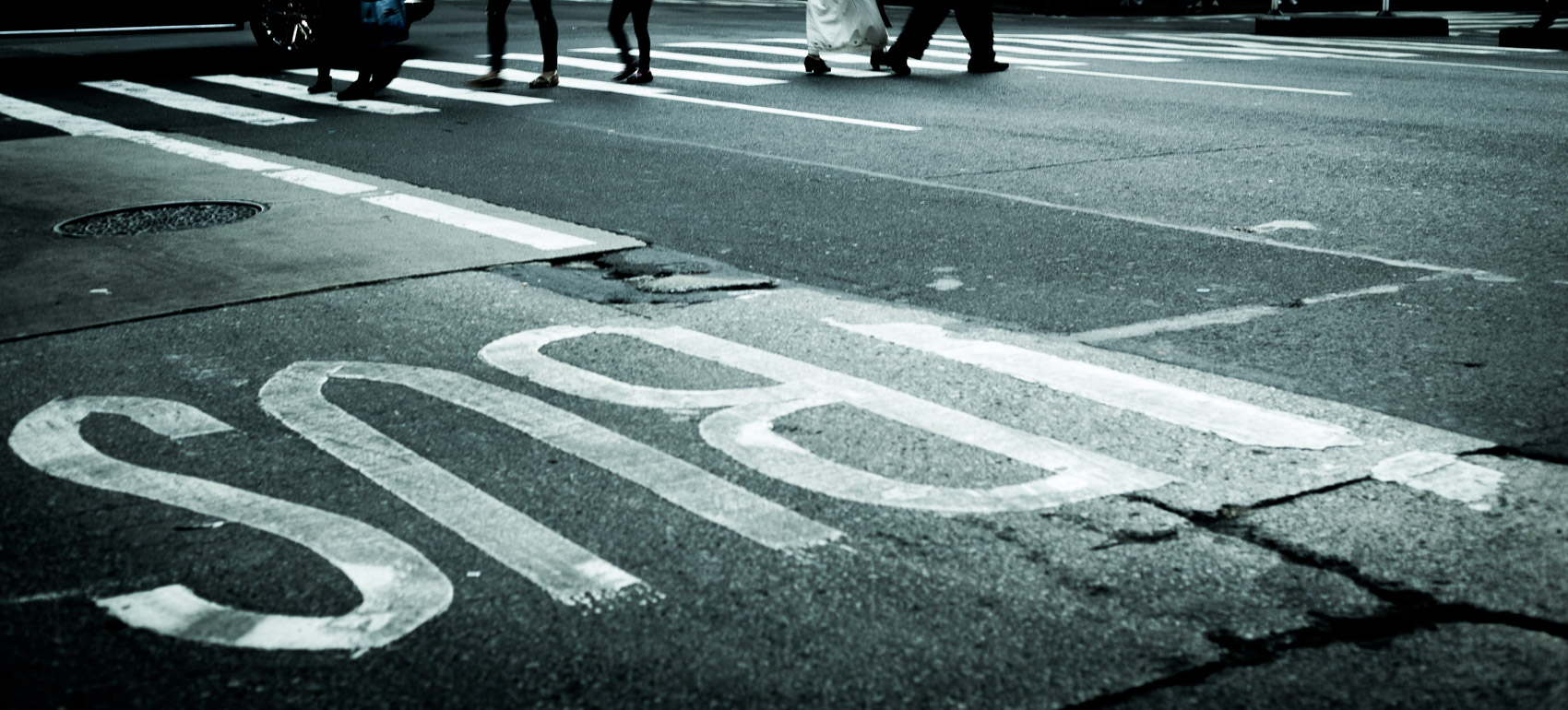 New York image photographed by Tracy Penn